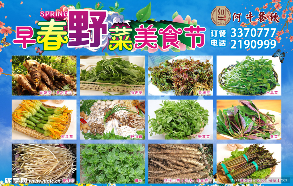 野菜图