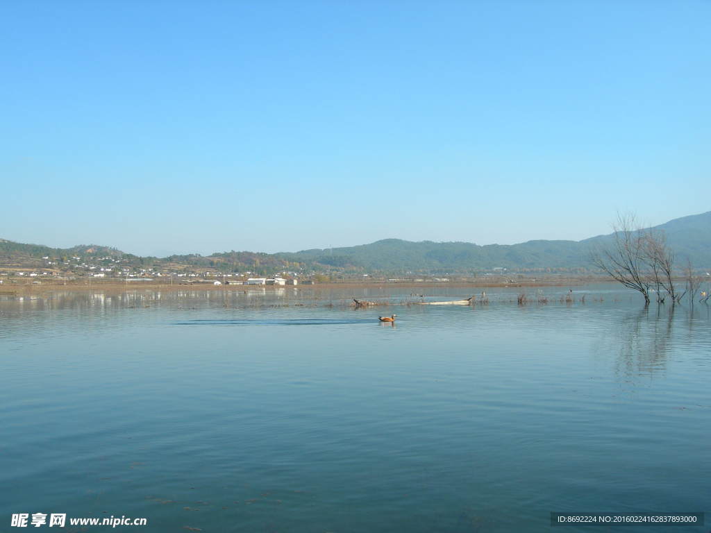 云南 丽江 拉市海