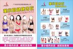 内衣宣传单