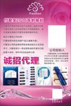 付爱宝宣传单