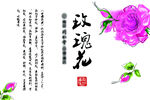 玫瑰花茶包装