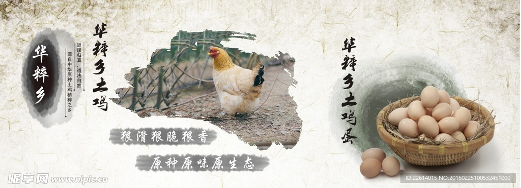 车身贴