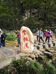 金鞭溪风景