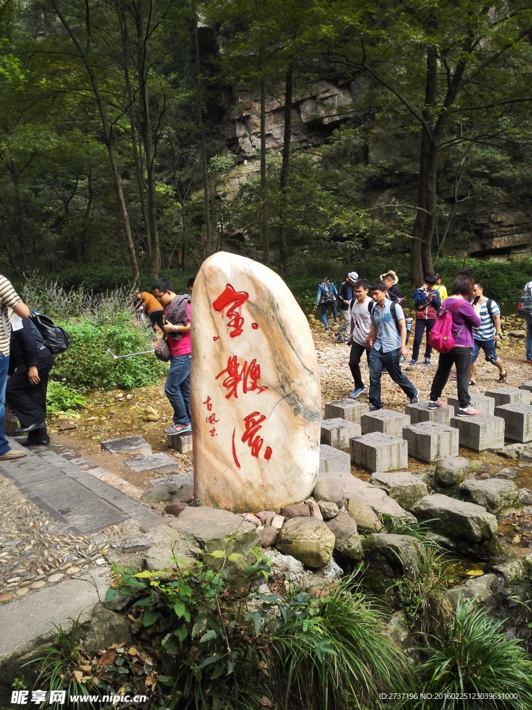 金鞭溪风景