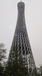 小蛮腰