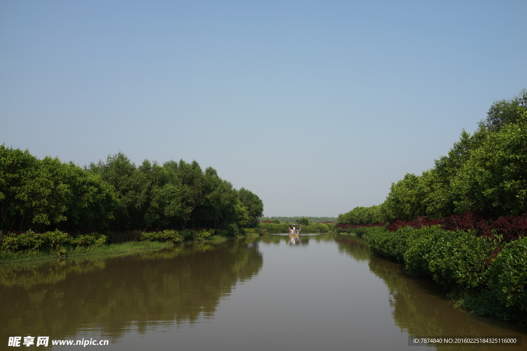 广州南沙湿地公园