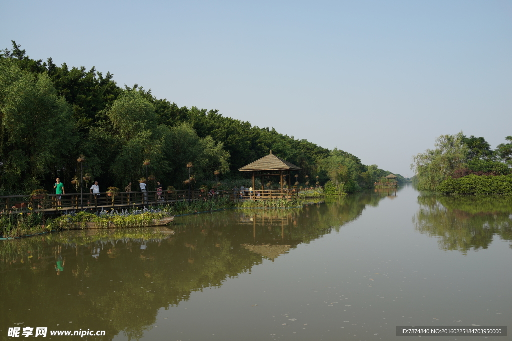 广州南沙湿地公园