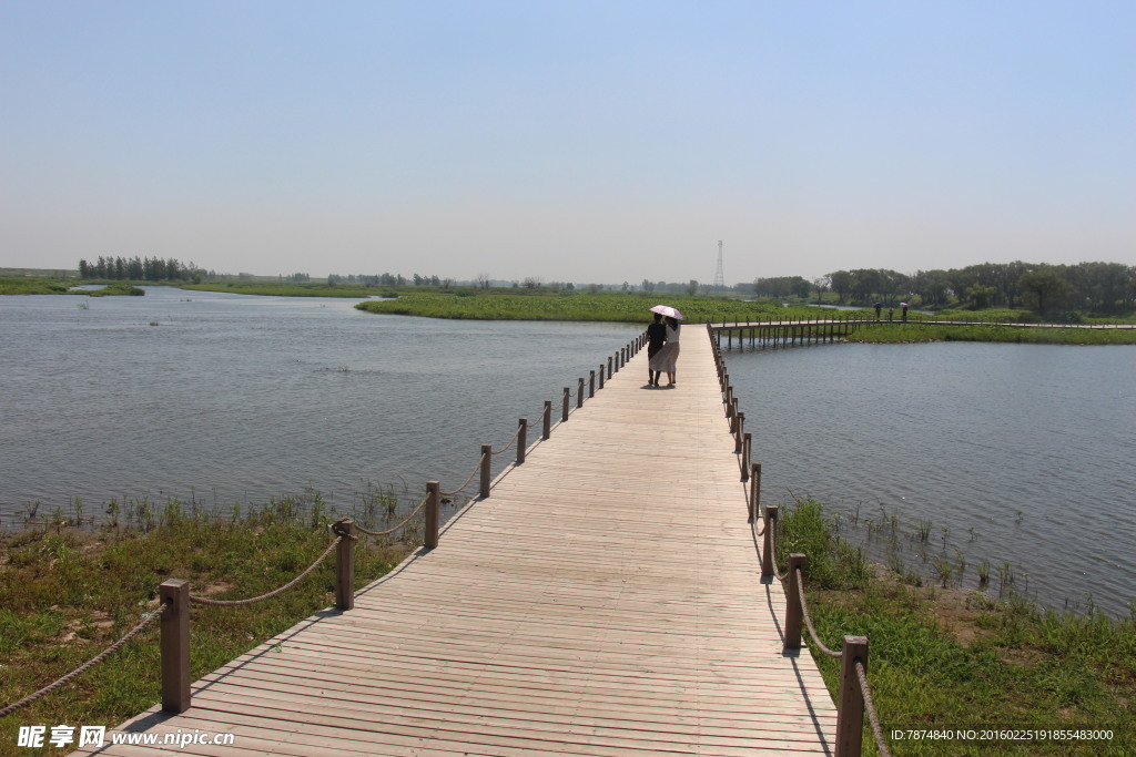 湿地公园