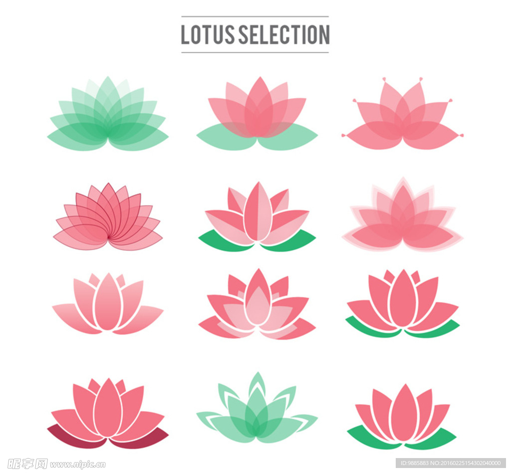 荷花图标