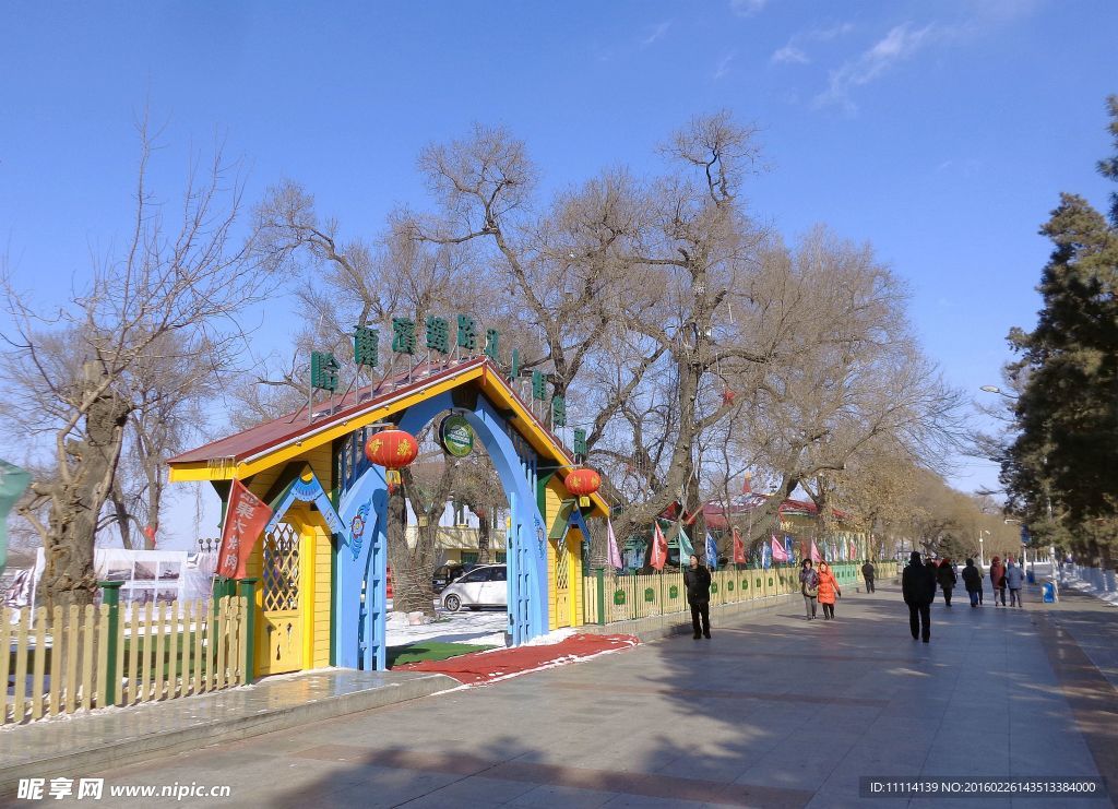 冬季哈尔滨松花江畔风景