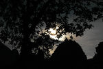 夜景