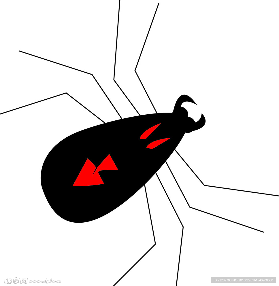 蜘蛛
