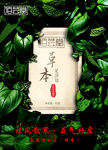 草本