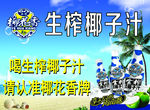 椰子汁海报