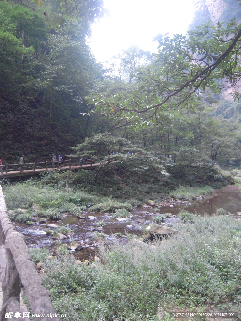 湖南森林公园