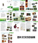 茶文化 茶叶画册