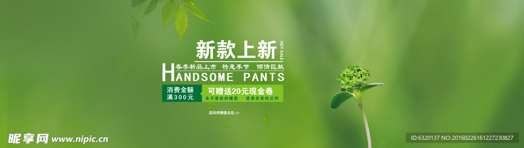 春款上市图片