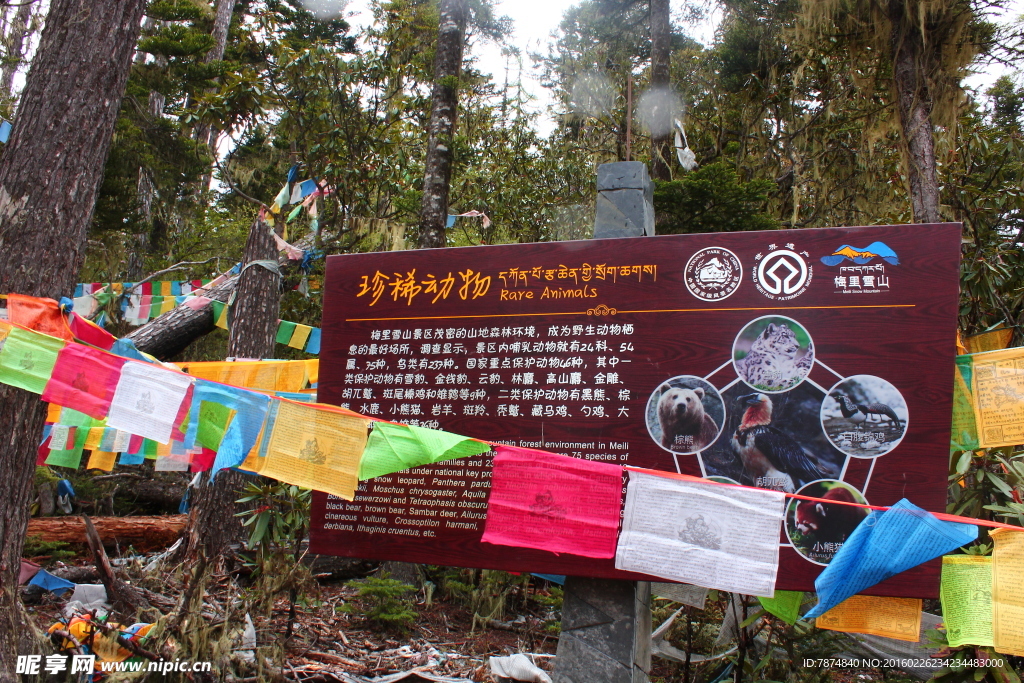 香格里拉风光