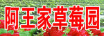 阿王家草莓园