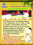 权健火疗DM传单