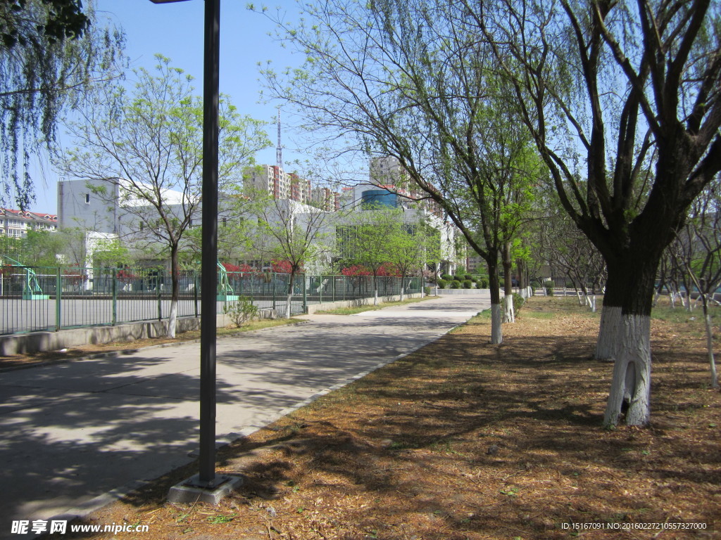 辽宁工业大学院内景观