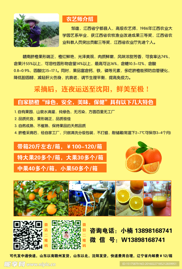 赣南脐橙