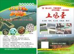 土鸡蛋 感恩回馈宣传单