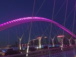 龙城夜景