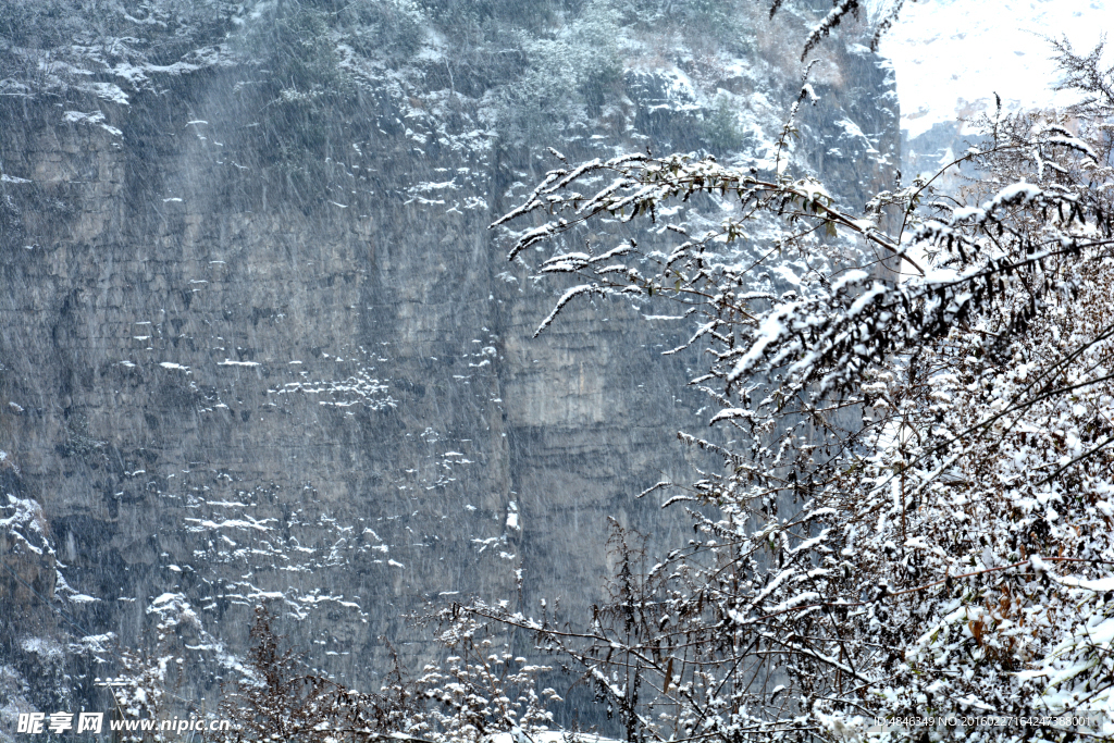 山中雪花