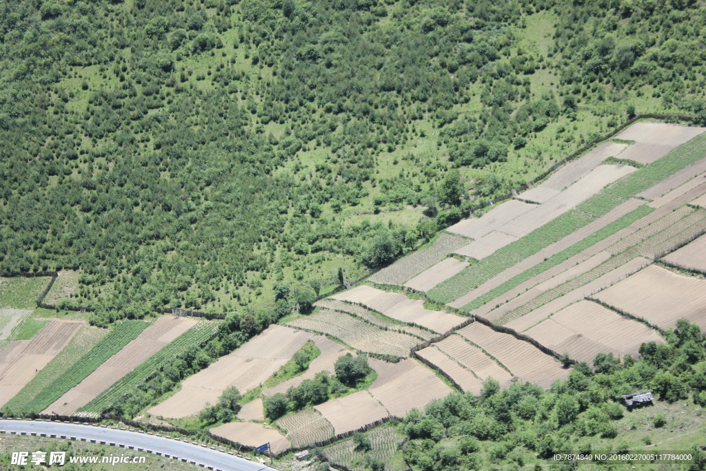 雨崩村田野