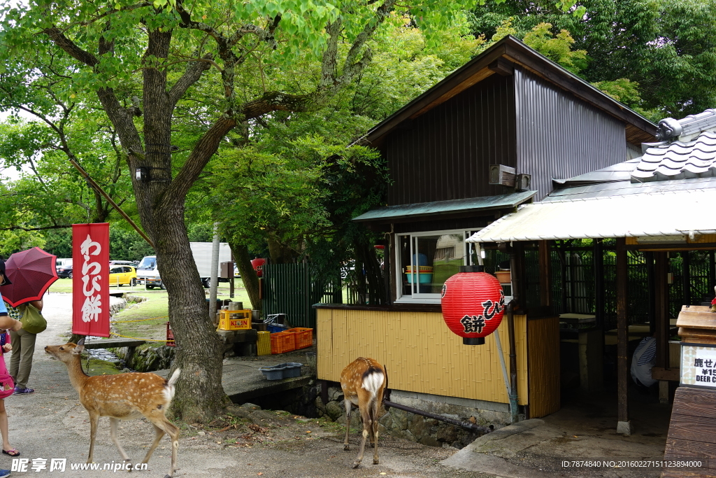 日本寺庙