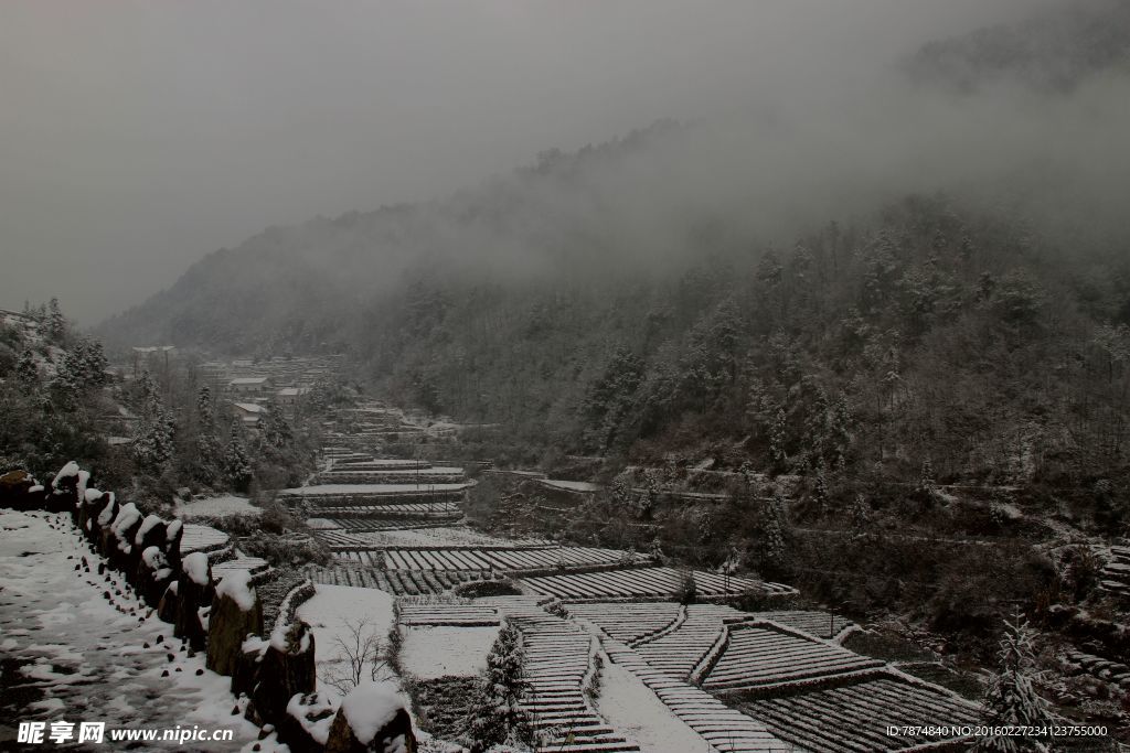 雪景