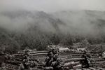 雪景
