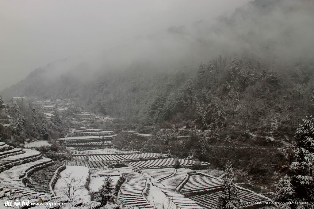 雪景