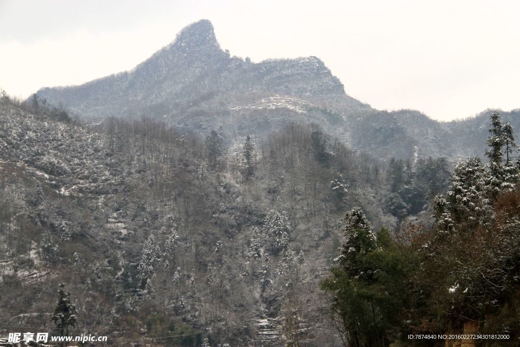 雪景