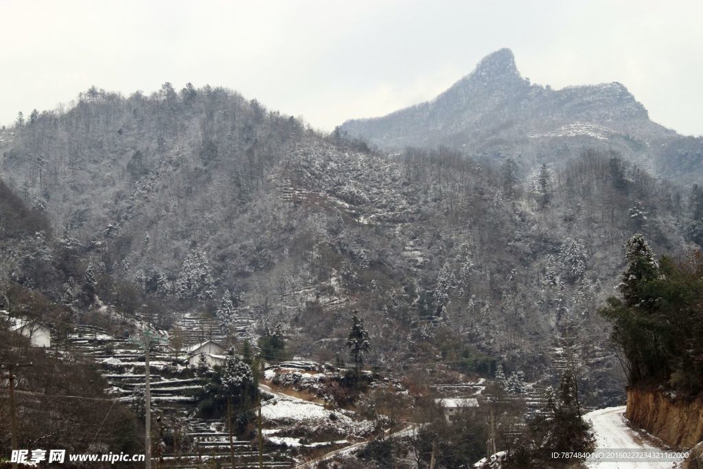 雪景