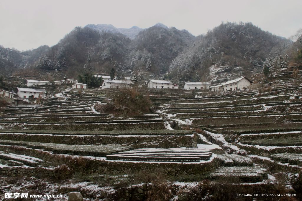 雪景
