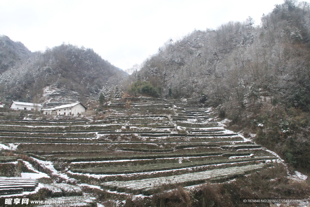 雪景