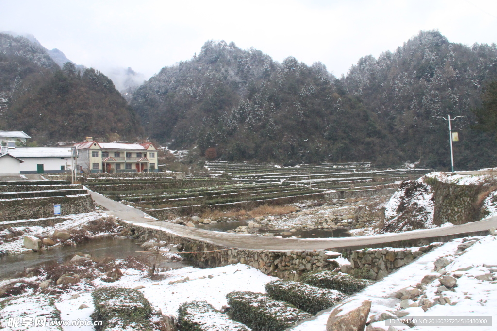 雪景