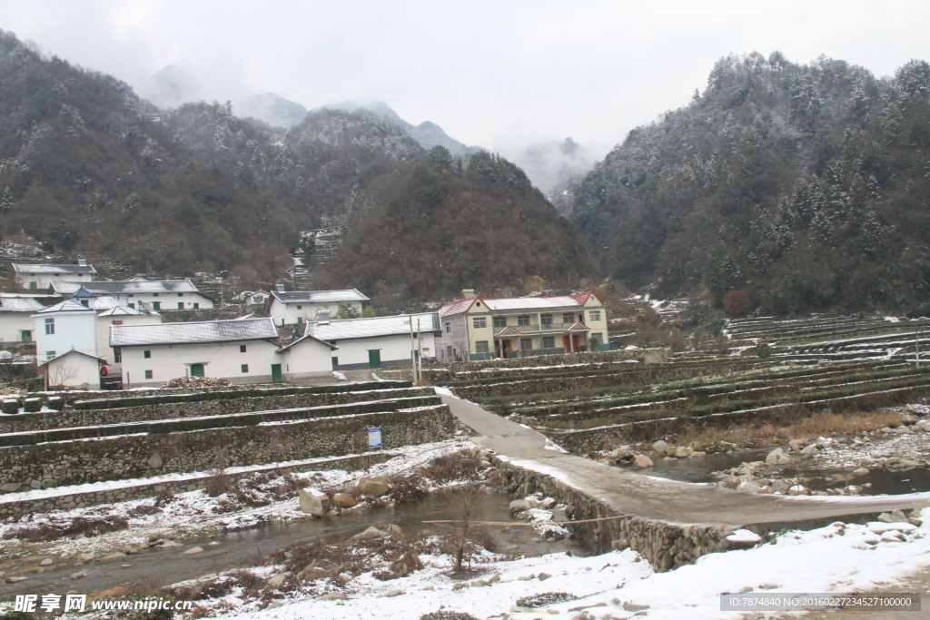 雪景