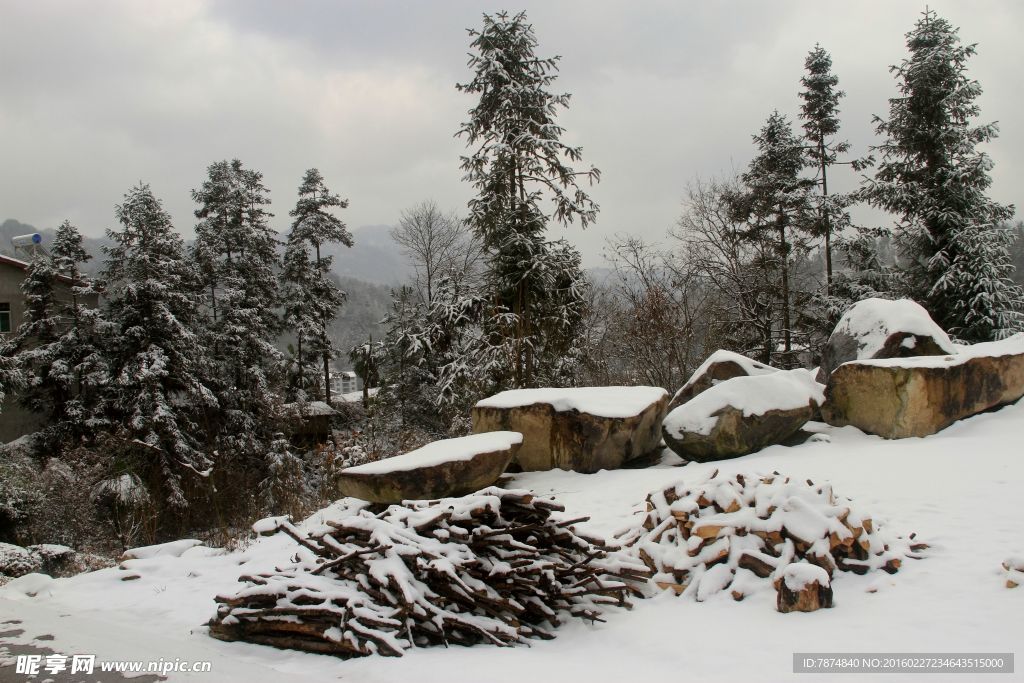 雪景