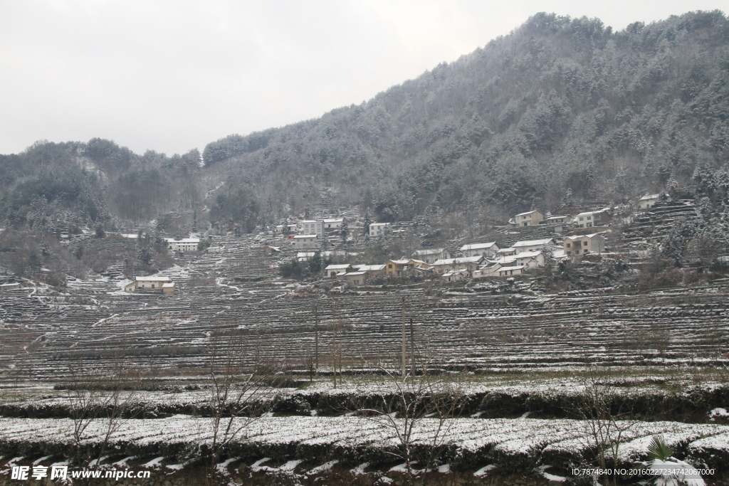 雪景