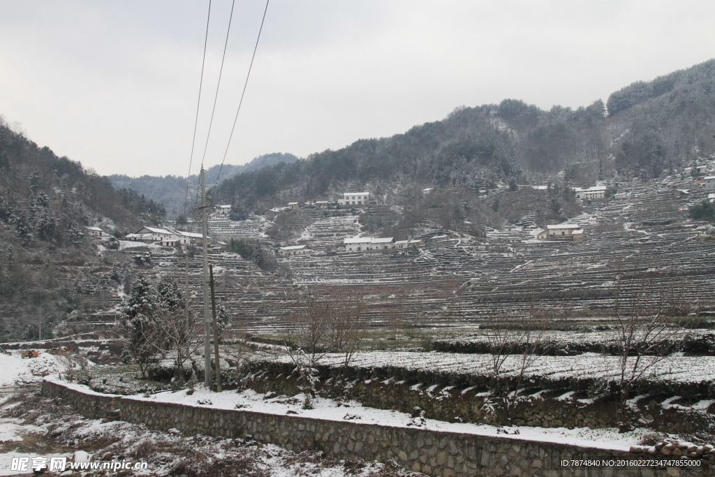 雪景