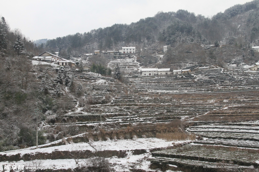 雪景