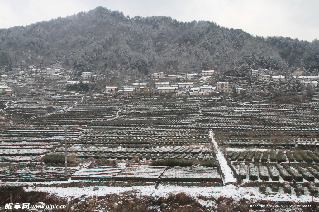 雪景