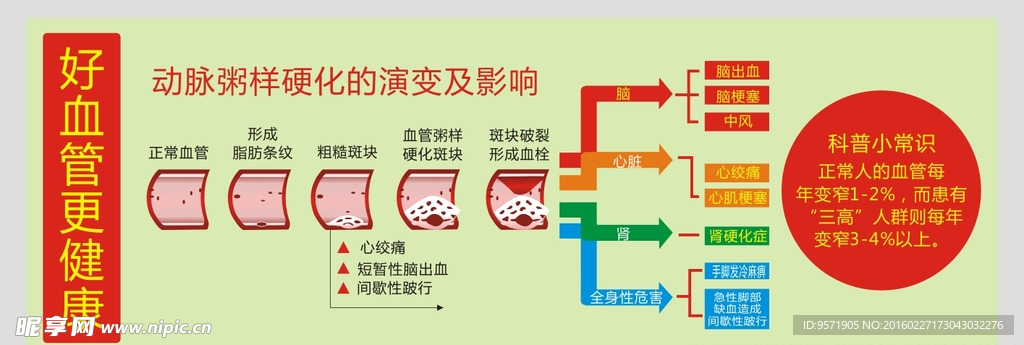 血管