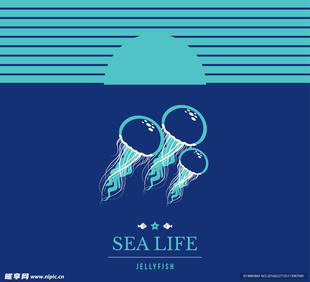 彩绘海底水母