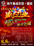扬子壁纸吊顶