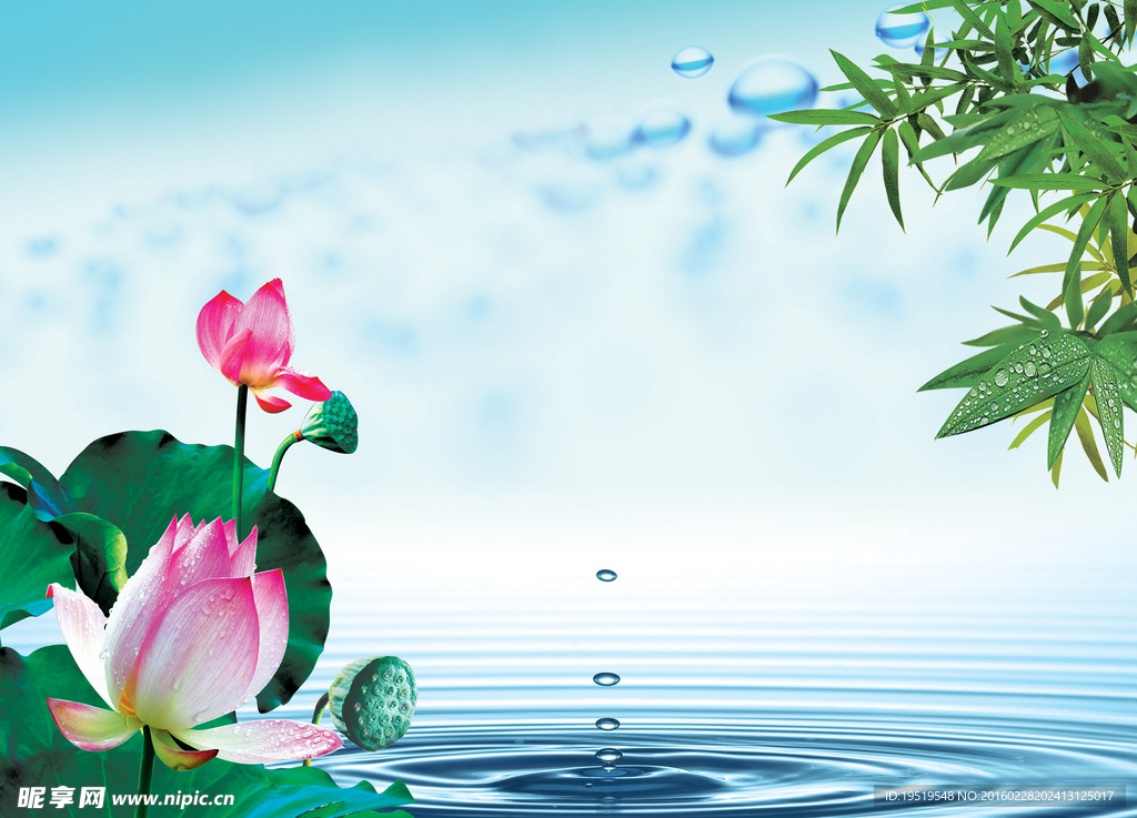 荷花竹叶图