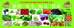新鲜蔬菜
